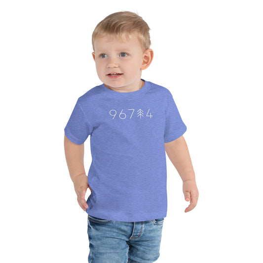 96734 / 967tree4 Kailua Store Toddler T-shirt